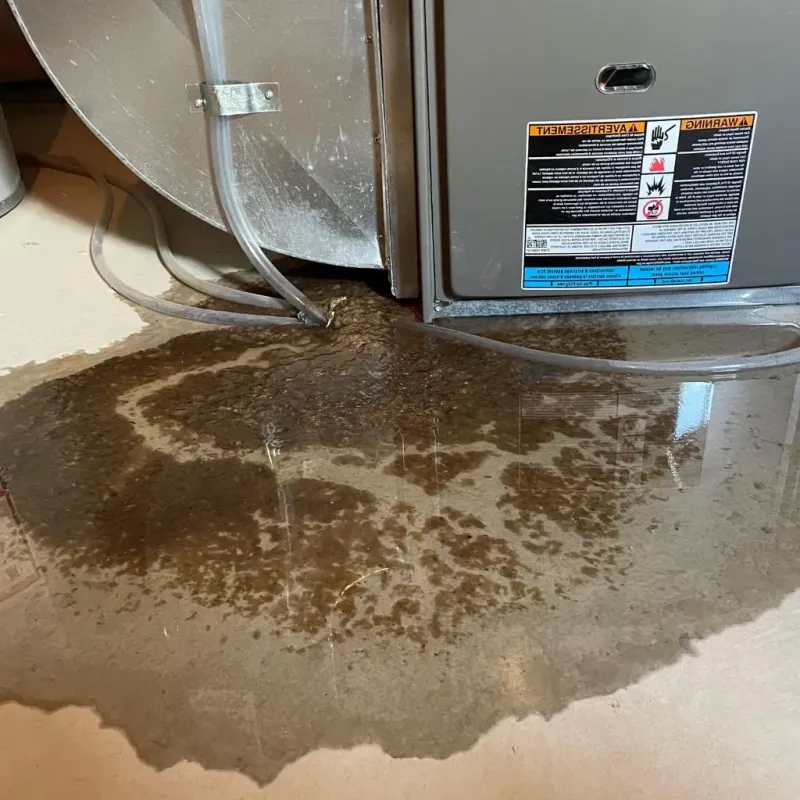 Pipe Burst and Leak Restoration in Elk County, KS